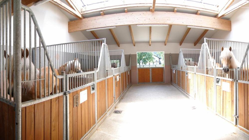 Denggnhof Villa มุนสเตอร์ ภายนอก รูปภาพ